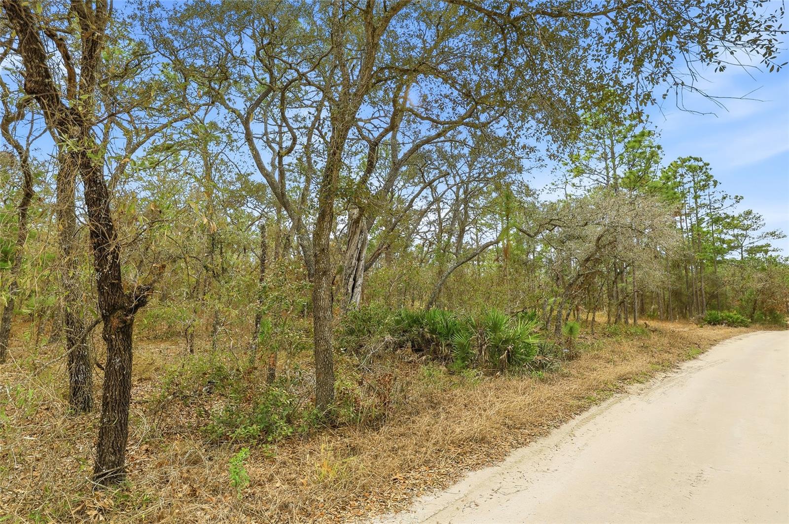 LONDON TERRACE - Land