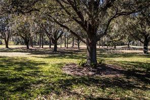 LAS COLINAS PH I SUB - Residential