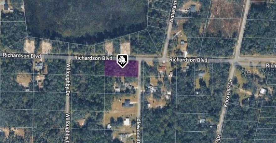 Corner residential vacant lot just under 1 acre (0.98) located in a quiet, established area of Webster, FL. Ideal opportunity to build your custom dream home or hold as a future investment. This spacious parcel offers flexibility for future residential construction and plenty of room for your vision. Conveniently located with easy access to US-301, CR-478, and I-75, providing quick routes to Tampa, Orlando, shopping, dining, and outdoor recreation. Webster is a growing area known for its peaceful setting, natural surroundings, and continued development. A great opportunity for builders, investors, or homebuyers looking to secure land in one of Florida’s expanding communities!