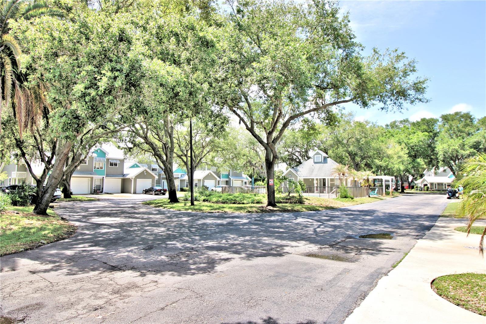 101 GRAND OAKS CIRCLE 101