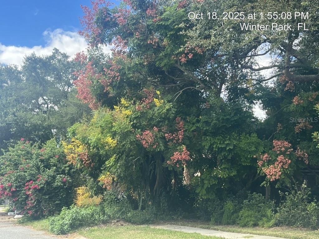 AMBERWOOD UNIT 2 - Residential