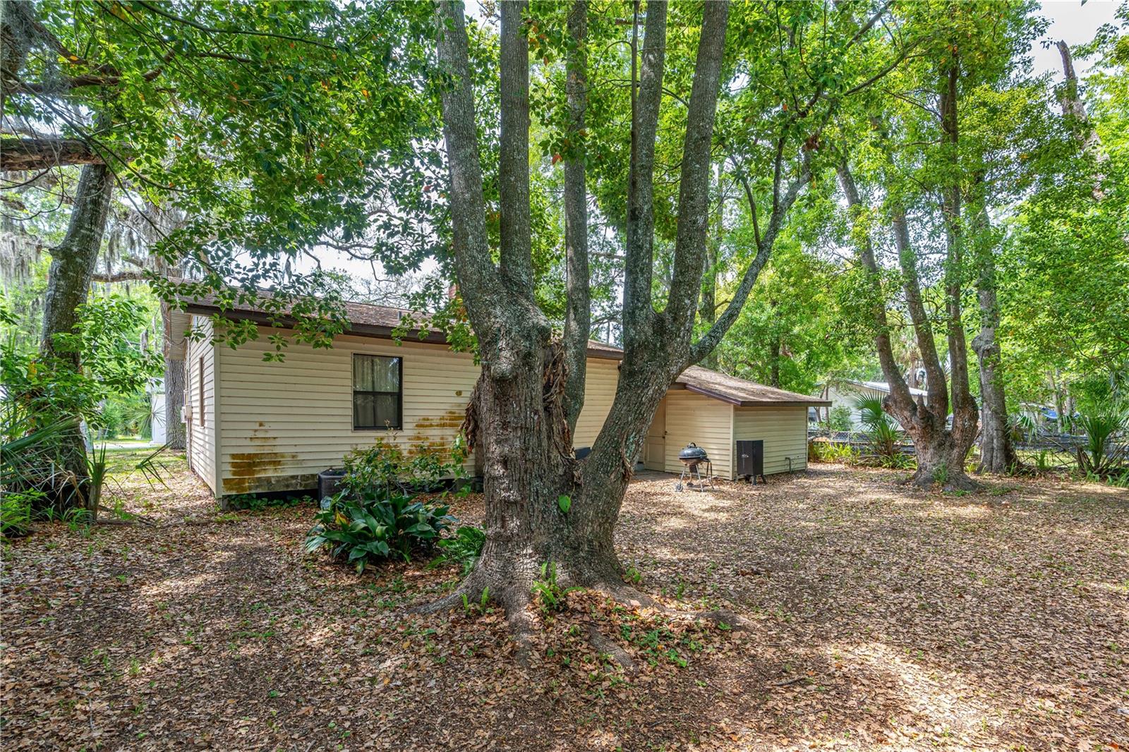 FLANDERS - Residential