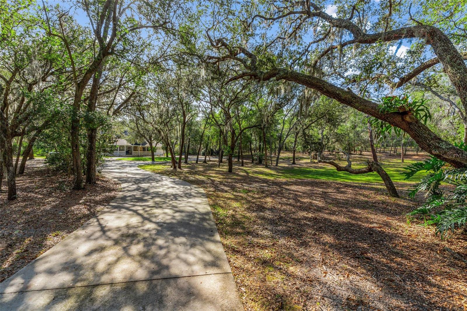 5100 GRIFFIN VIEW DRIVE