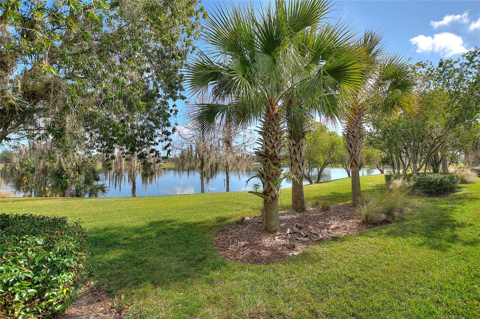 SOLIVITA PH 05F - Residential