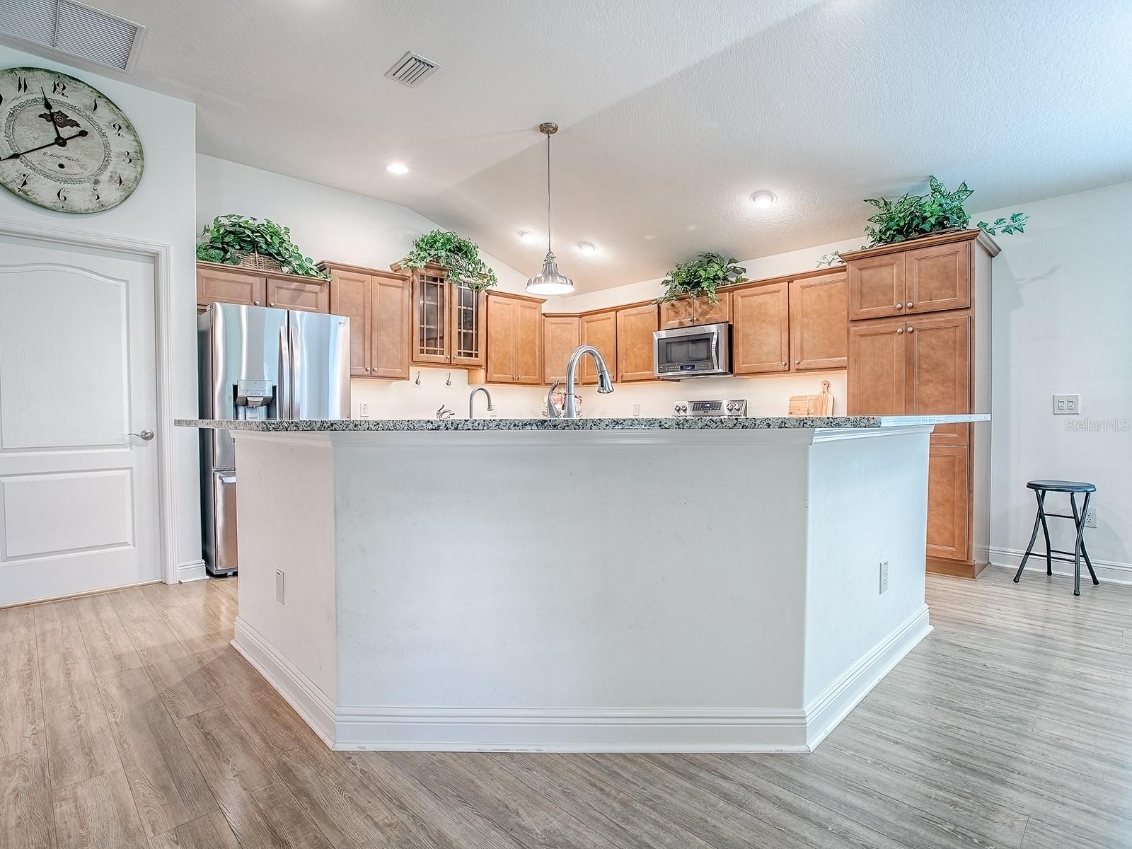 THE VILLAGES/SUMTER - Residential