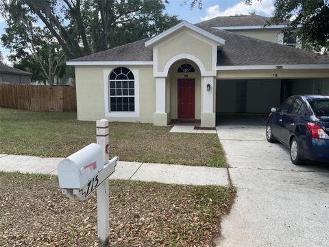 715 GRAND CANYON DRIVE VALRICO FL 33594