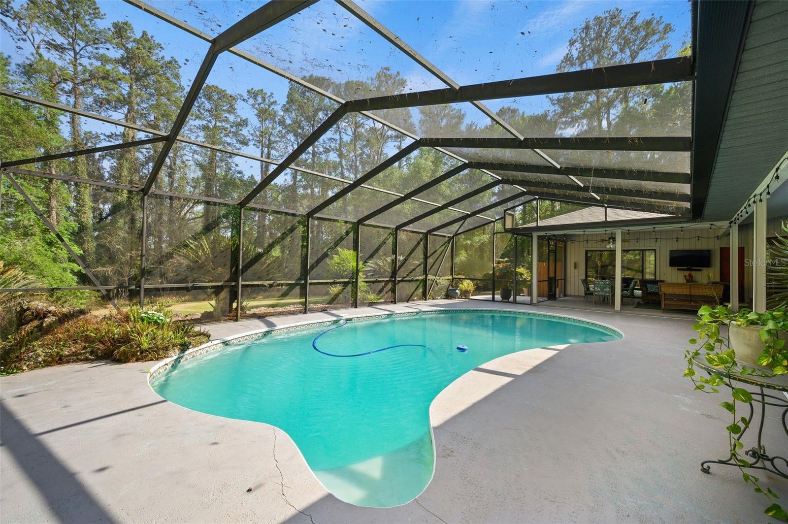 FORT CLARK FOREST - Residential