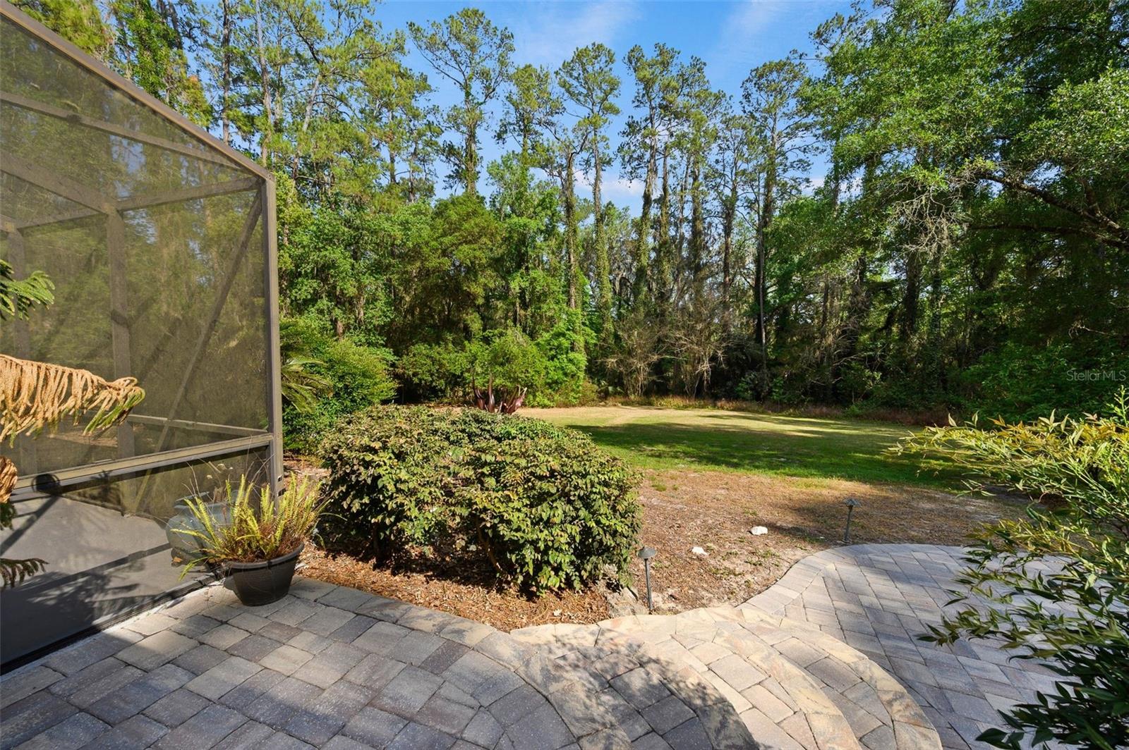 FORT CLARK FOREST - Residential