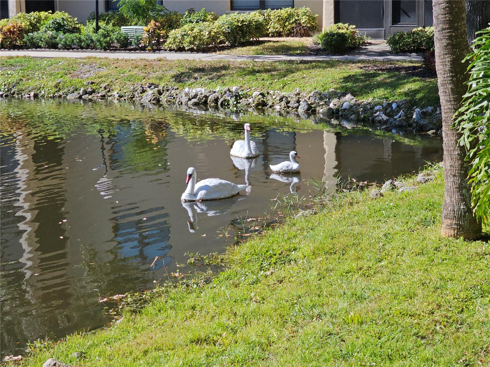 DESOTO SQUARE VILLAS - Residential