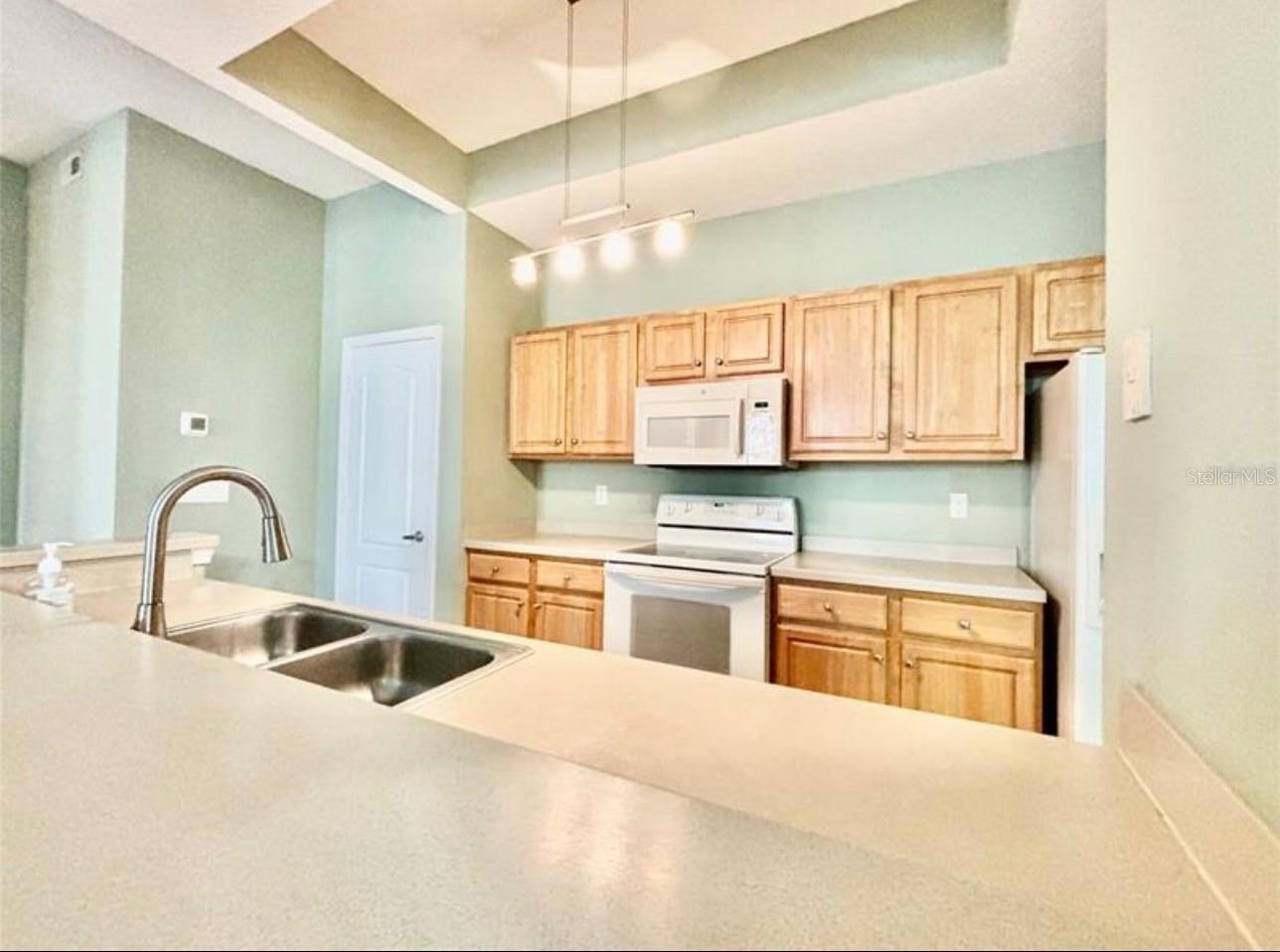 12307 LANTANA PARK LANE 110