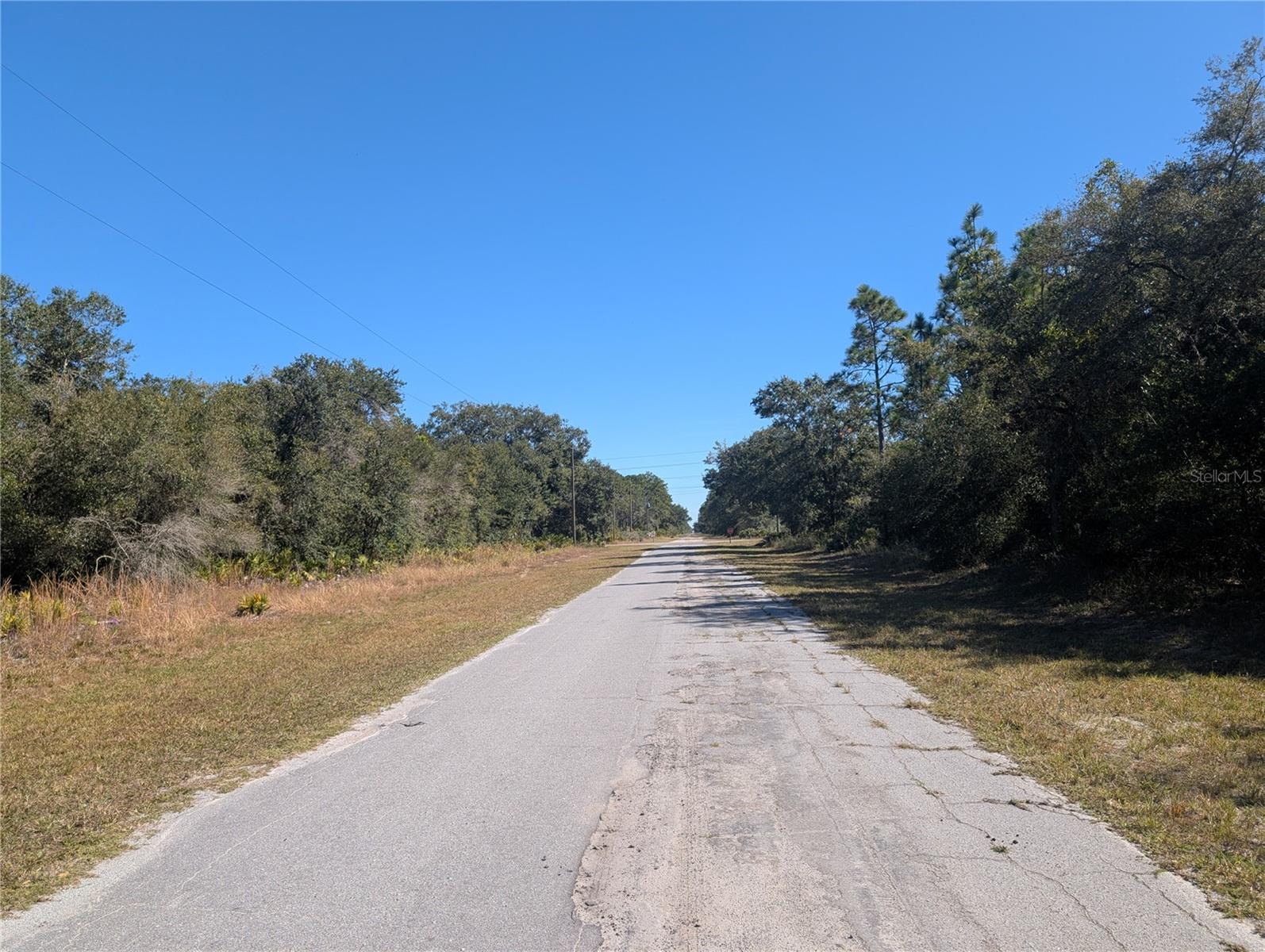 INDIAN LAKE ESTATES - Land