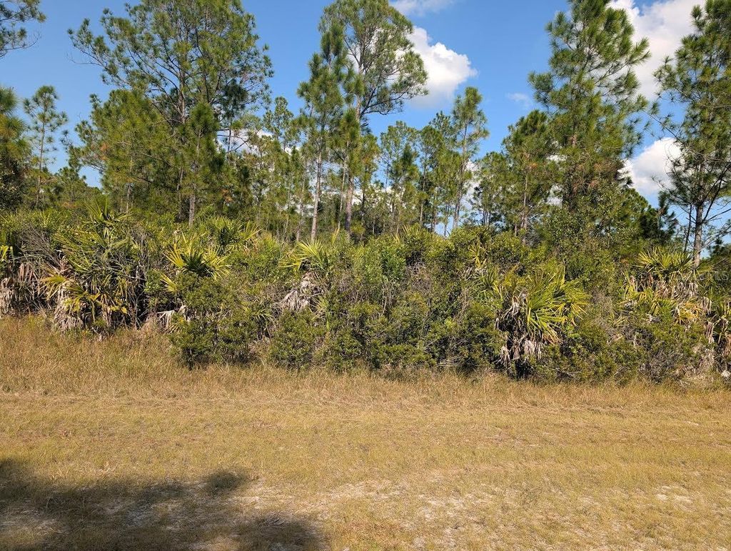 Photo of Oleander Drive, Indian Lake Estates, FL 33855 (MLS # TB8446851)