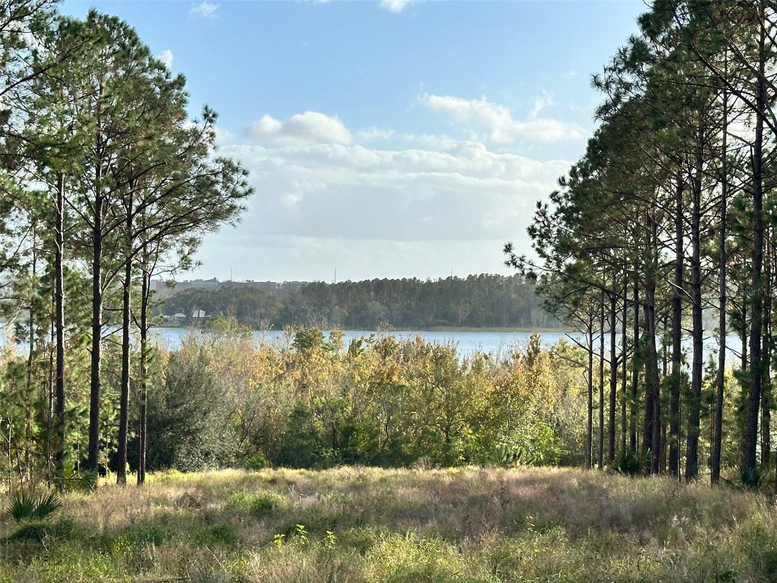 Discover the perfect canvas for your custom dream home on this stunning 1.2-acre lakefront lot on Lake Apopka, located in the exclusive guard-gated community of Bella Collina. With 100 feet of lake frontage and over 440 feet in length, this homesite offers breathtaking views and unmatched privacy on a one way street with no front neighbor. Build at your own pace—there’s no time frame to start construction—and choose from seven premier custom builders to create your ideal lakefront retreat.
Enjoy the privilege of a private boat dock, perfect for entertaining family and friends while soaking in the serene lake views. Bella Collina provides a lifestyle like no other, including an 18-hole championship golf course designed by Nick Faldo, a resort-style pool, tennis and pickleball courts, a luxury spa, and a state-of-the-art fitness center offering 20 complimentary fitness classes each week. Residents also enjoy two on-site restaurants with both indoor and outdoor seating. Conveniently located just 1.5 miles from Montverde Academy and with easy access to the Florida Turnpike, Hwy 408, and 429, this property combines luxury and accessibility. The $40,000 Sports Membership Deposit is included, along with attractive buyer incentives. Don’t miss this opportunity—call today to schedule your private tour!