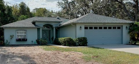 A home in SPRING HILL