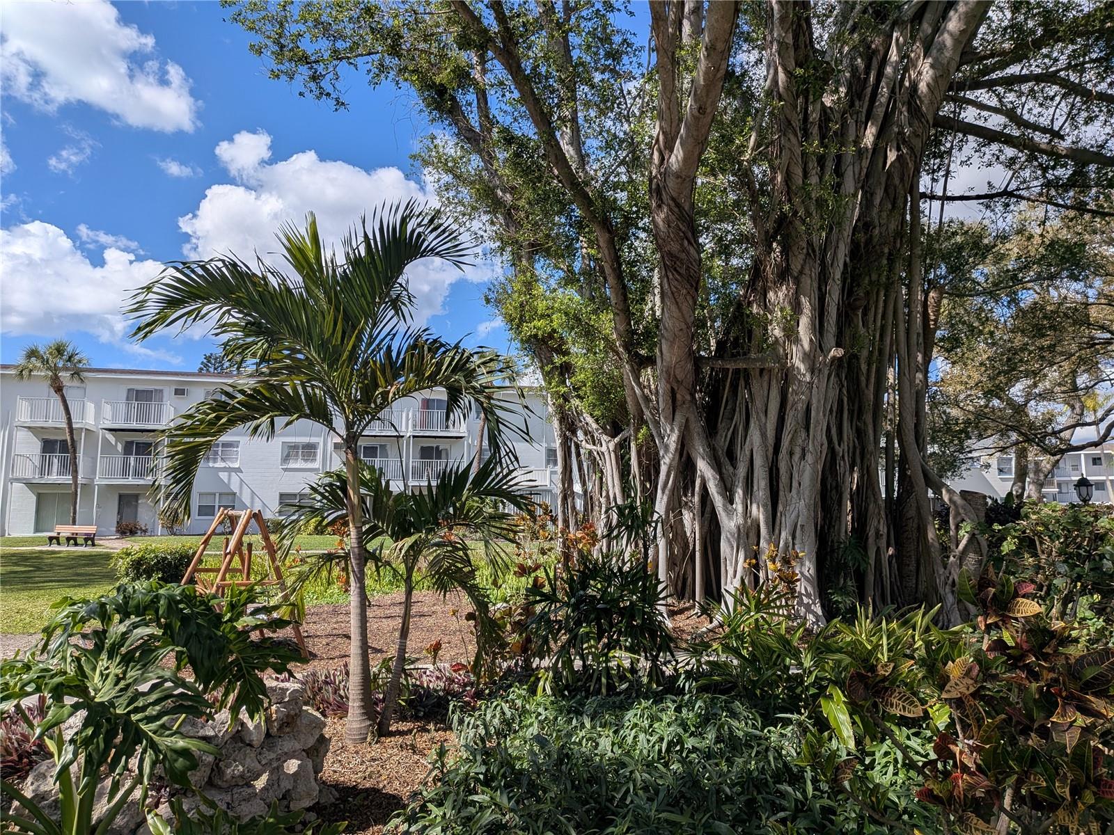 THE FOURTH BAYSHORE - Residential