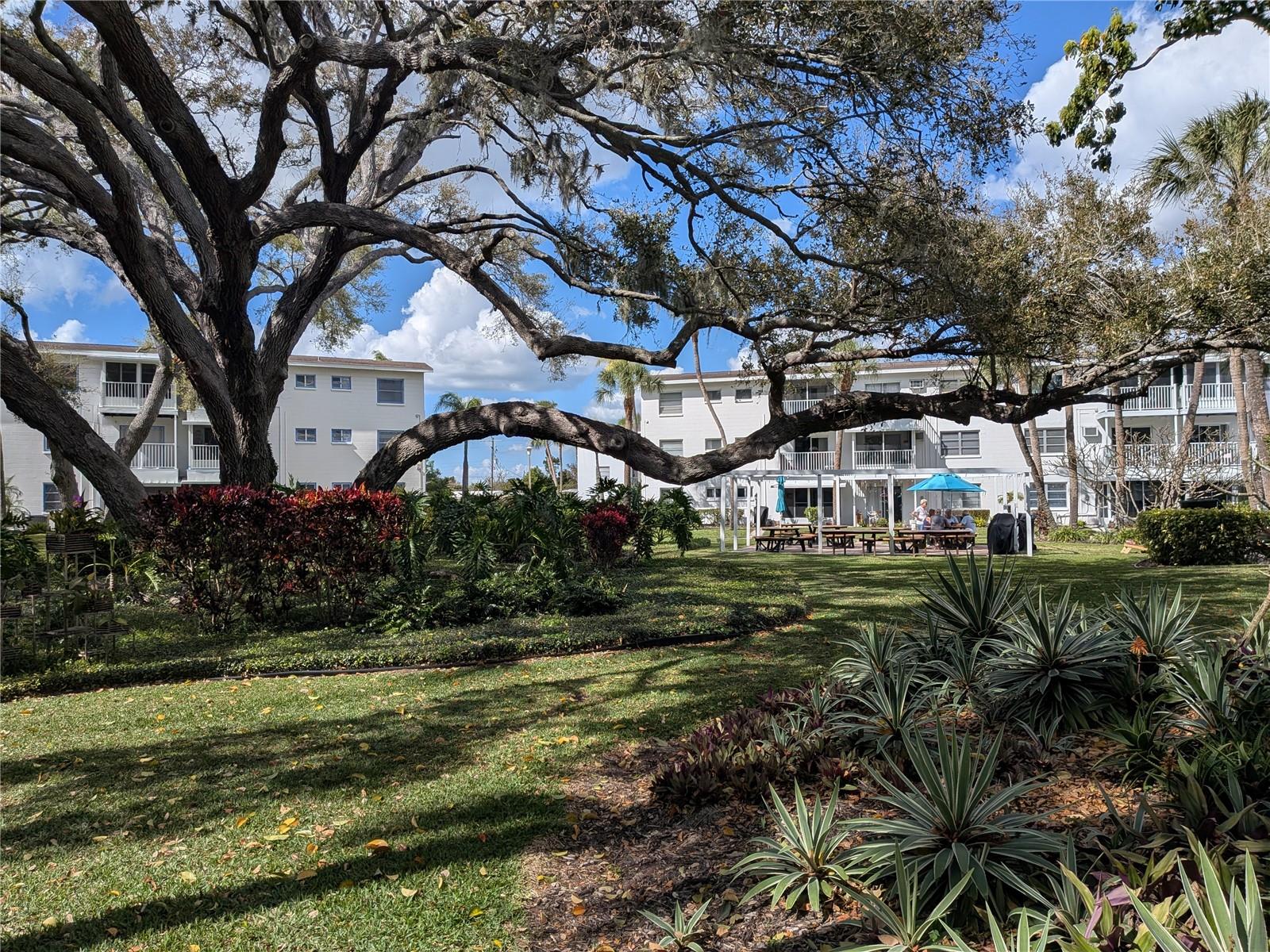 THE FOURTH BAYSHORE - Residential