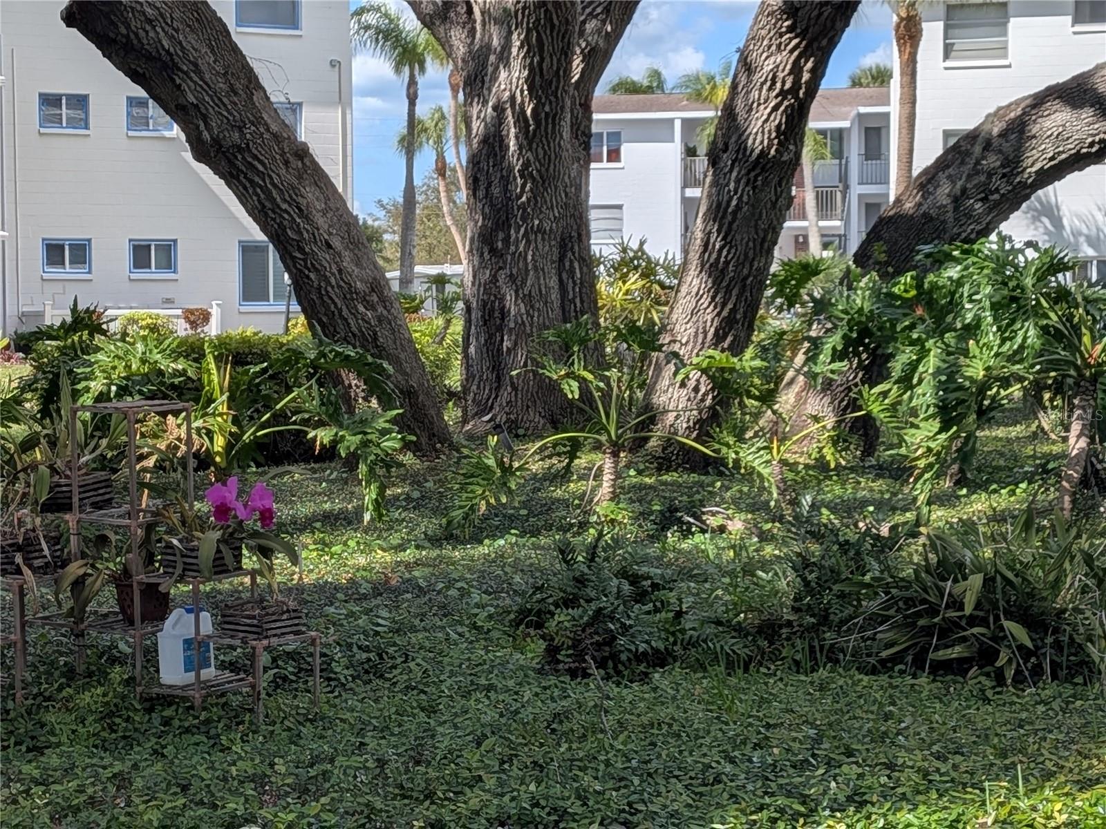 THE FOURTH BAYSHORE - Residential