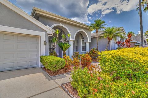 A home in TAMPA