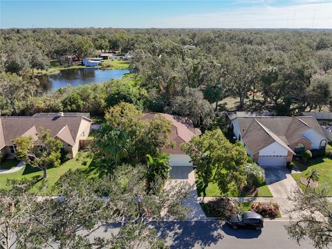 A home in RIVERVIEW