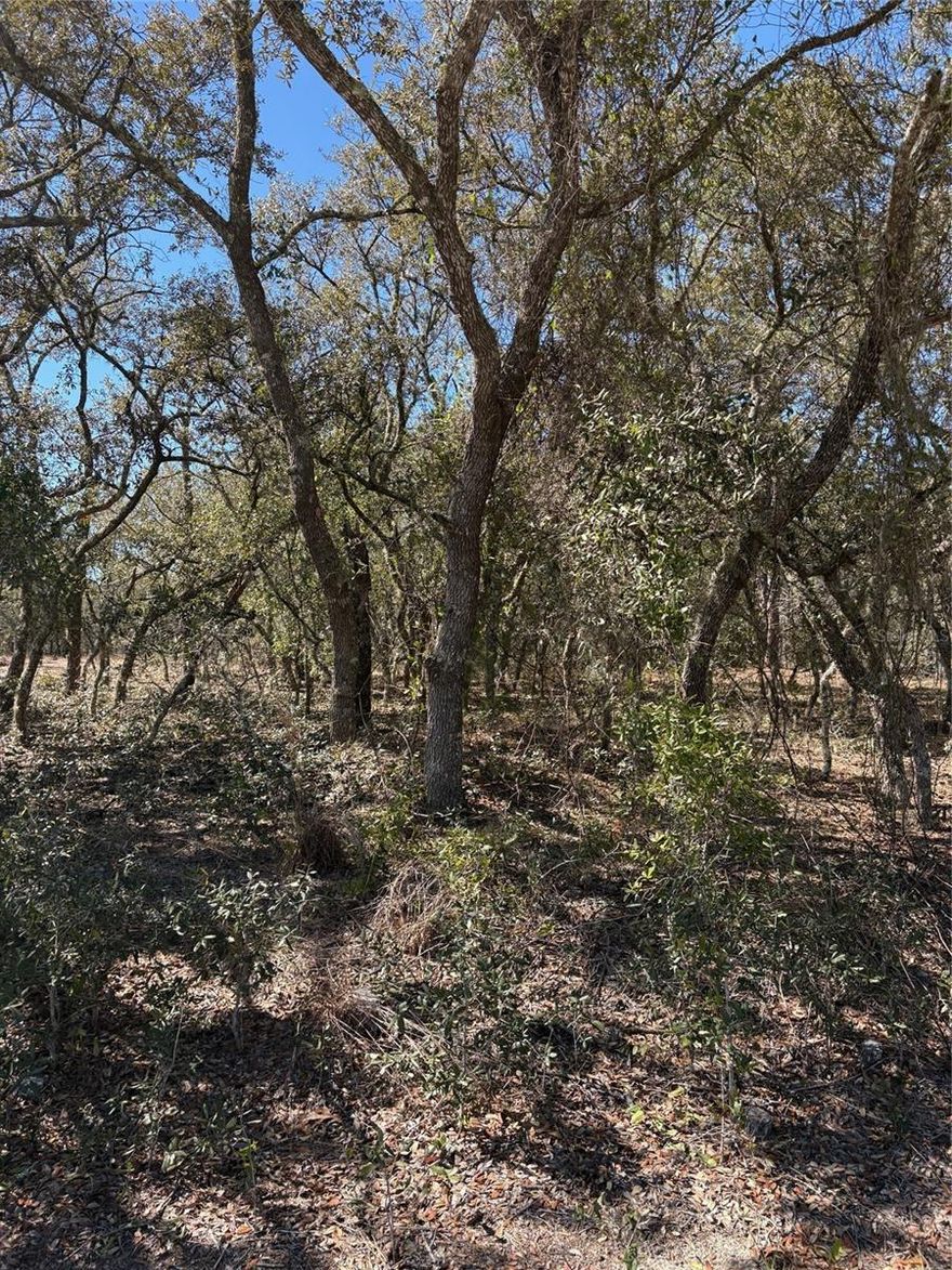 Buildable lot in Rainbow Lakes Estates- Quiet peaceful location ready to build or purchase for your future investment.