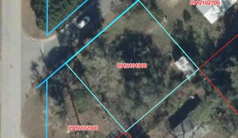 Tiny photo for 424 Margaret Street, Bronson, FL 32621 (MLS # GC541469)