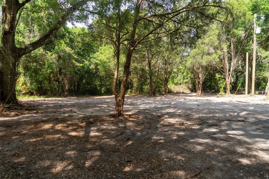 Photo of 3482 County Road 507, Wildwood, FL 34785 (MLS # OM723881)
