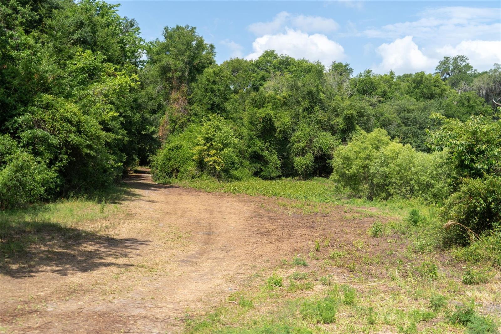 WILDWOOD RANCH - Land