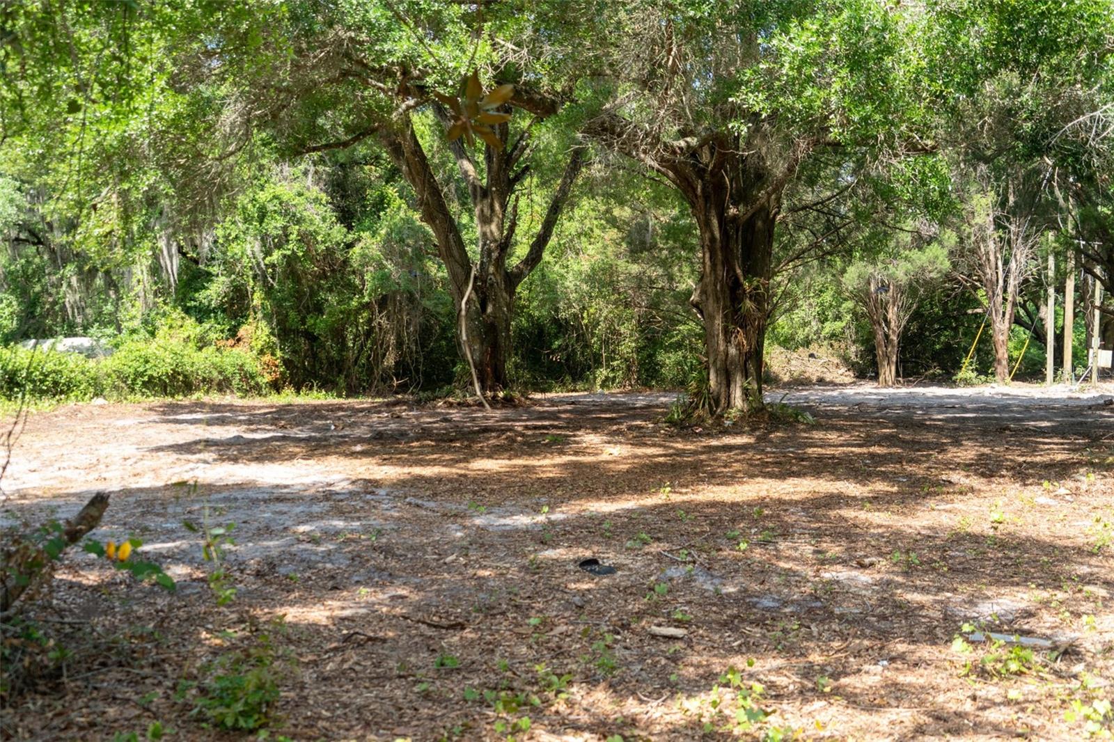 3482 COUNTY ROAD 507