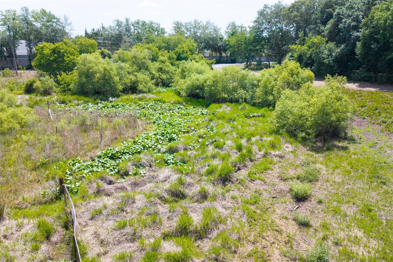 WILDWOOD RANCH - Land