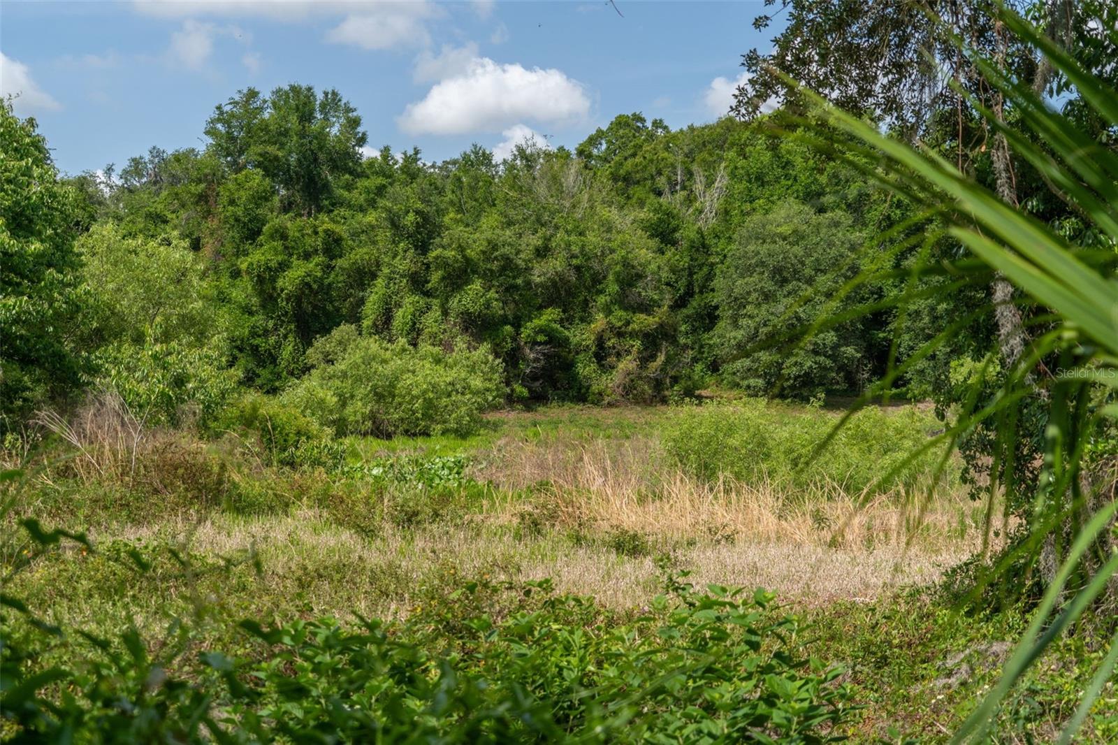WILDWOOD RANCH - Land