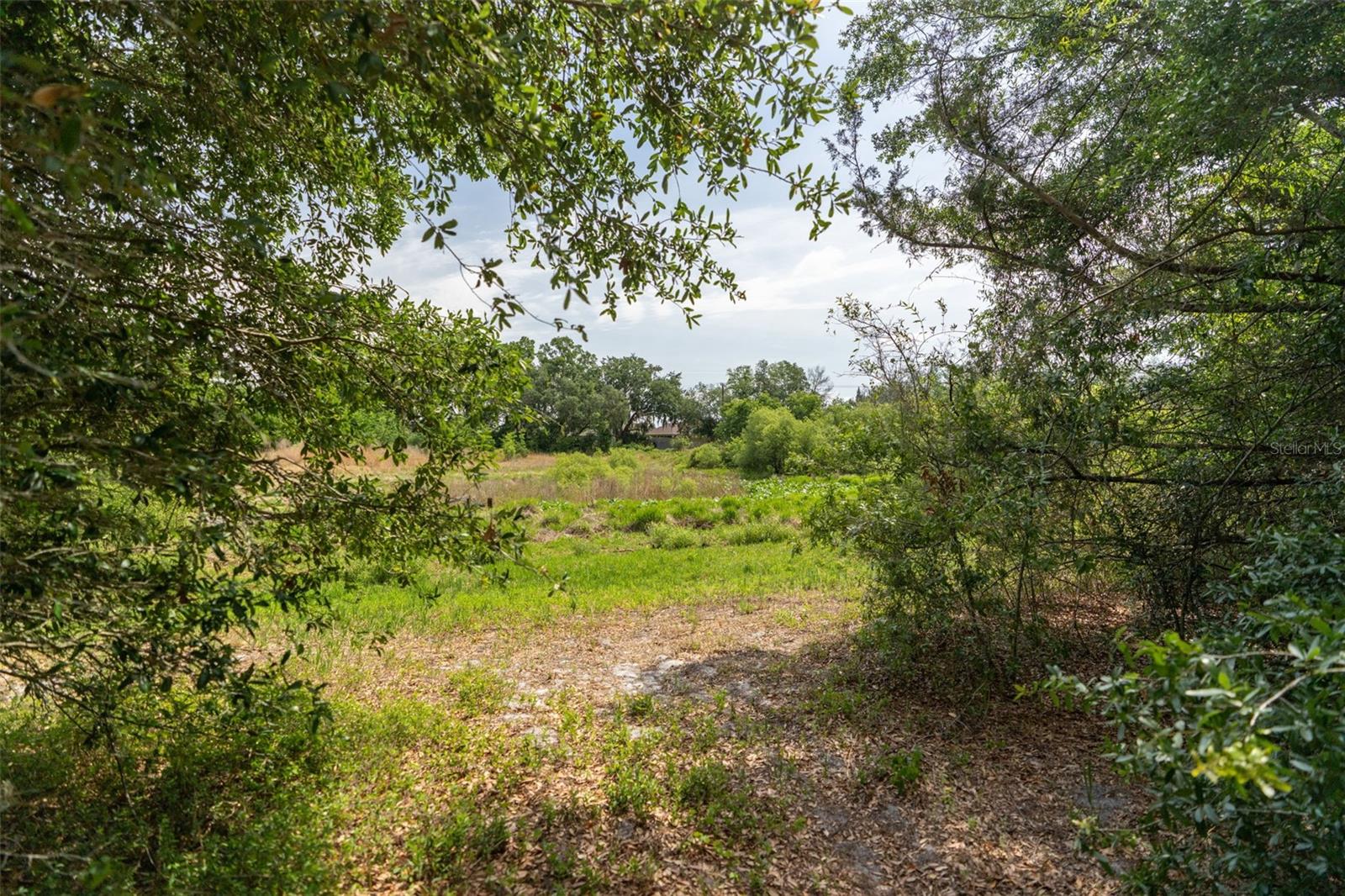 WILDWOOD RANCH - Land