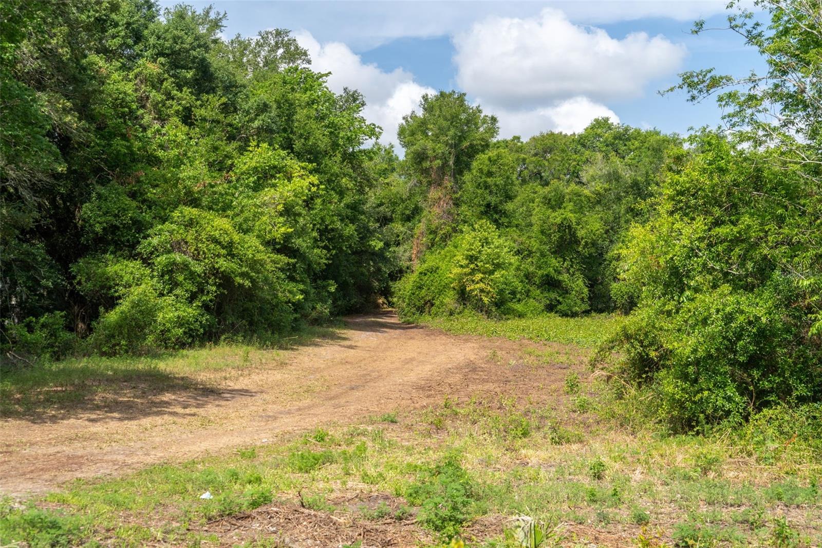 WILDWOOD RANCH - Land