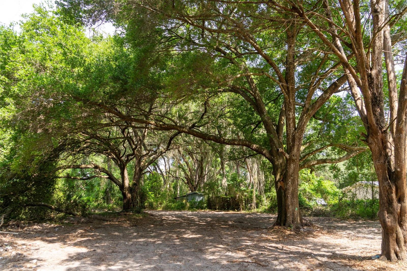WILDWOOD RANCH - Land