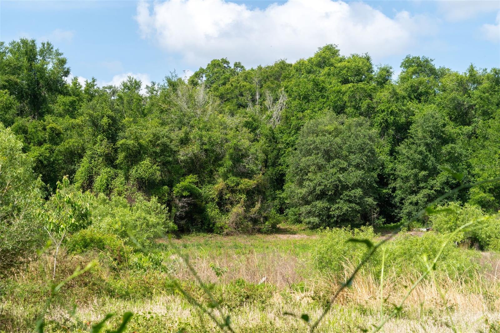 WILDWOOD RANCH - Land