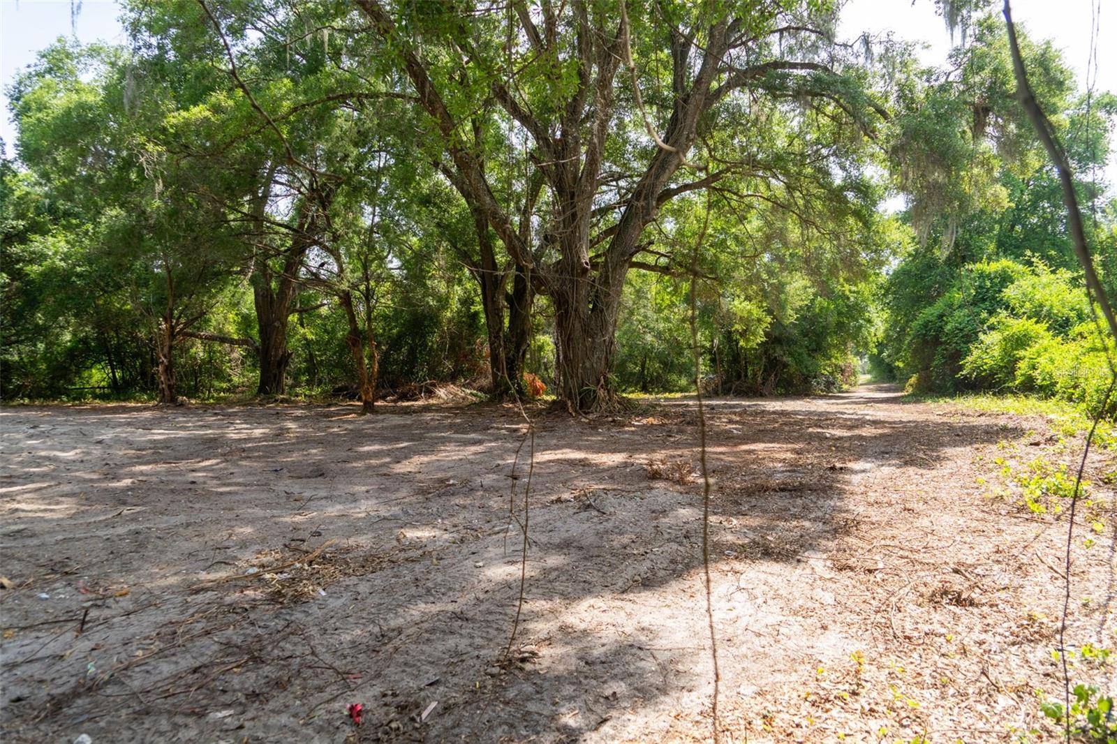 3482 COUNTY ROAD 507