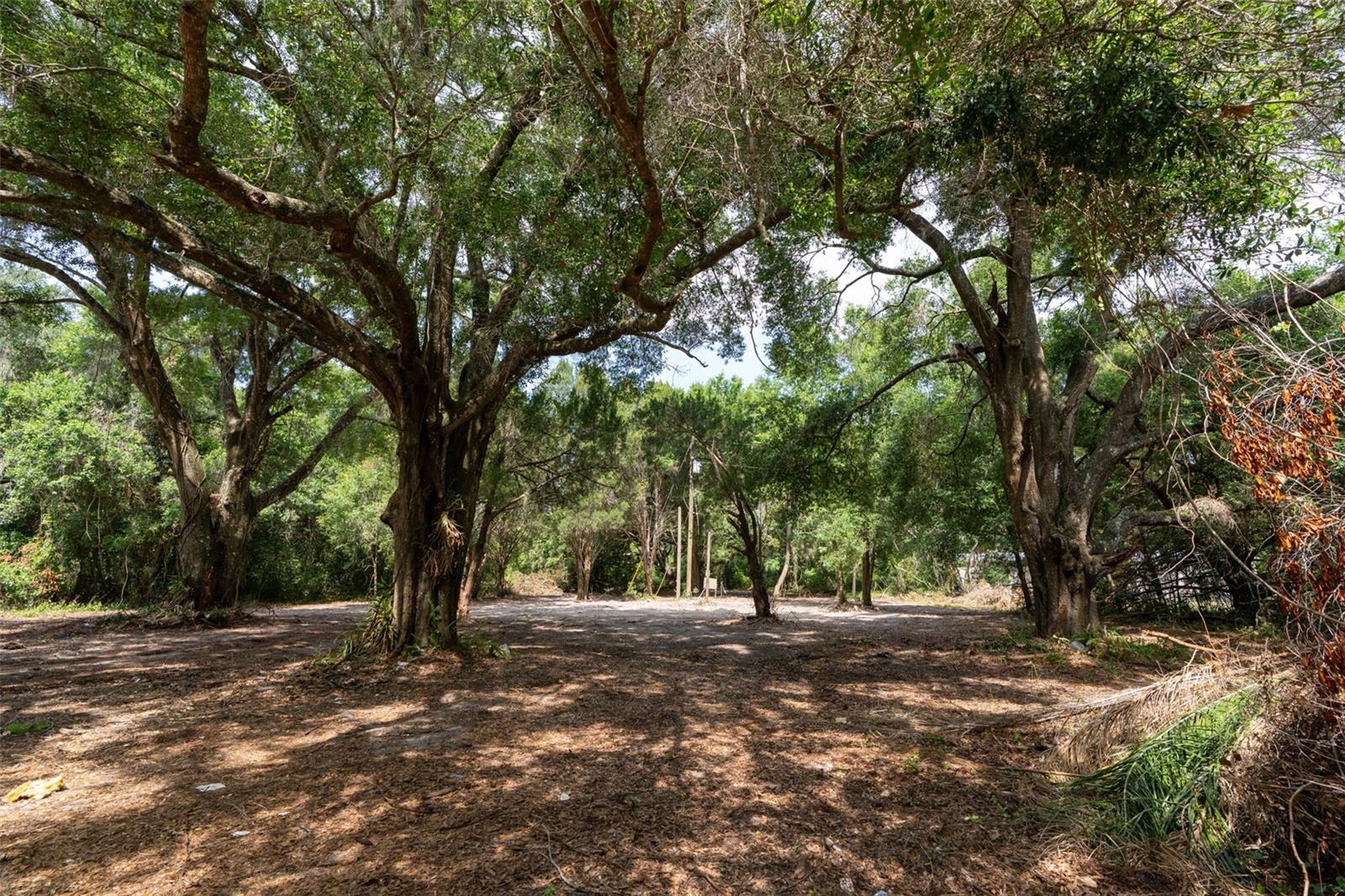 WILDWOOD RANCH - Land