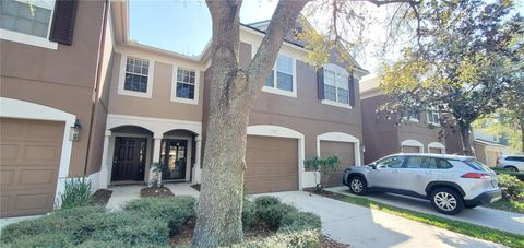 A home in RIVERVIEW