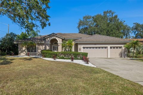 168 WOODCREEK DRIVE N SAFETY HARBOR FL 34695