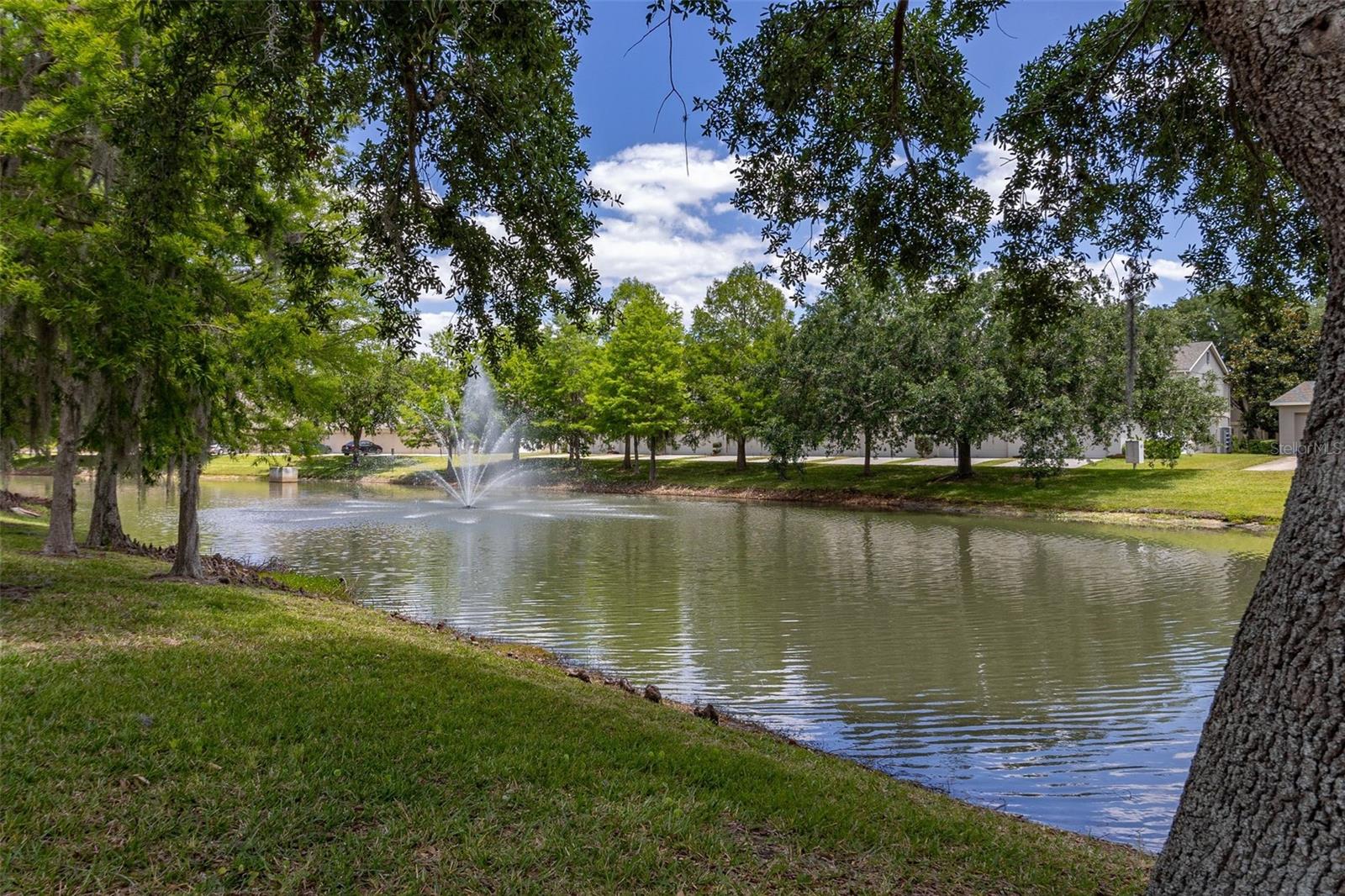 LAKES/WINDERMERE-LK REAMS TWNH - Residential