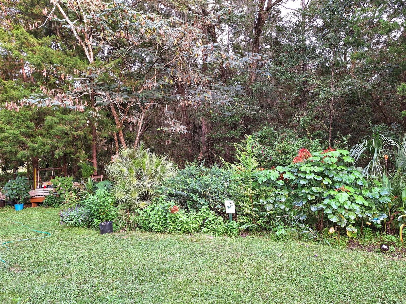 RAINBOW SPGS 04 REP - Residential