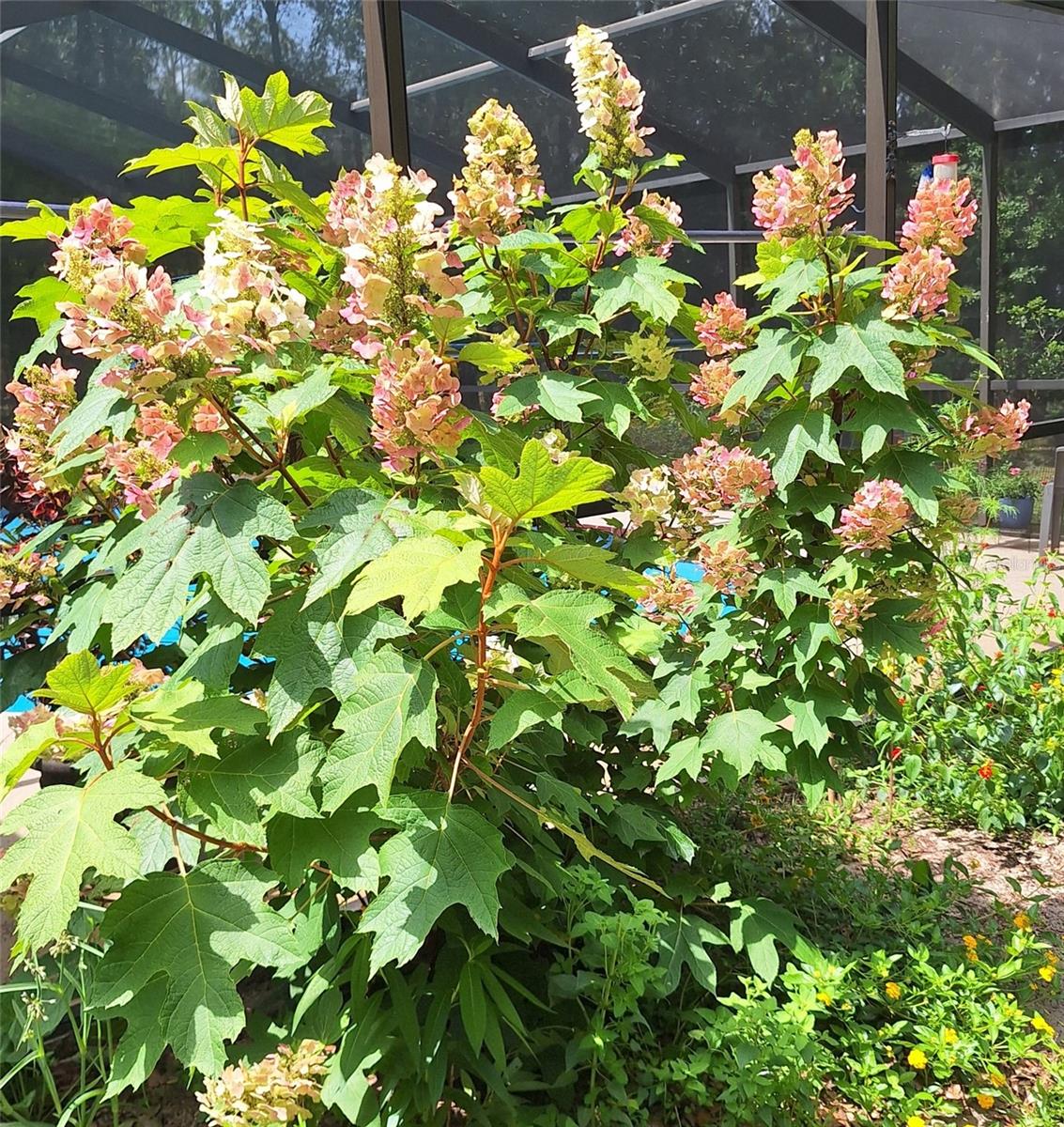 RAINBOW SPGS 04 REP - Residential