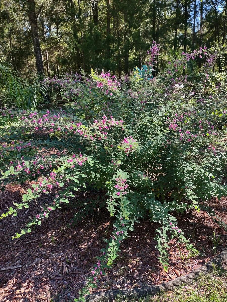 RAINBOW SPGS 04 REP - Residential