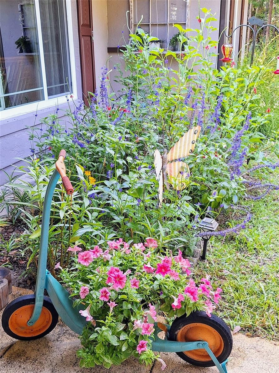 RAINBOW SPGS 04 REP - Residential