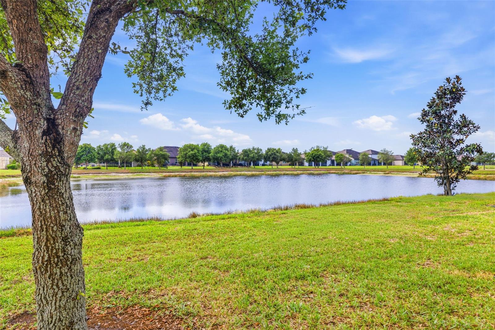 MAGNOLIA PARK NORTHEAST E - Residential