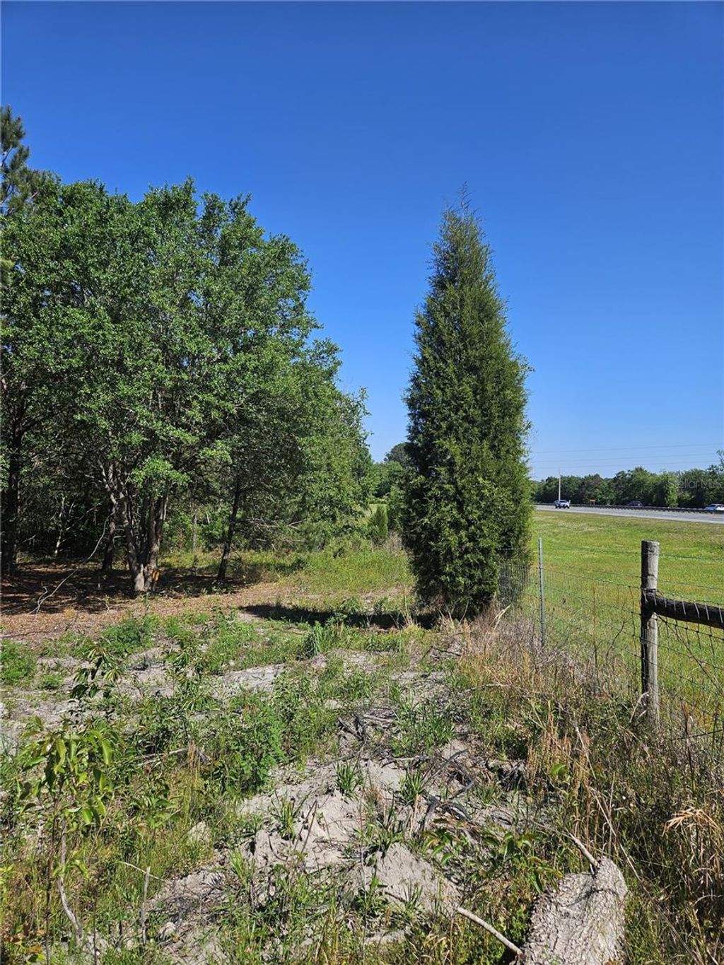 Photo of 000 SW Mixson Road, Lake City, FL 32024 (MLS # TB8499733)