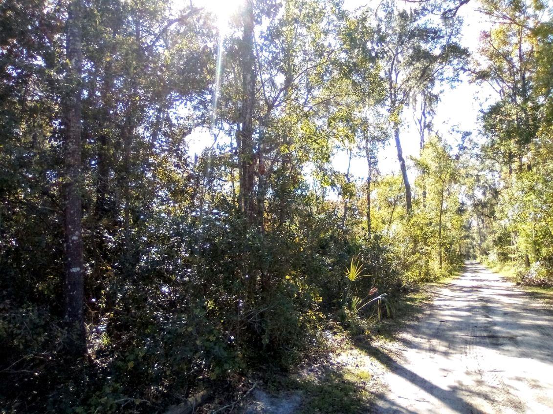 .23 Acre - 10,019 square foot lot.
This is for one lot but there is another connected lots available. It is on the neighboring street, but shares a back border with this lot.
R4 Zoned - Allows Single Family Homes, Modular Homes, Mobile Homes and Container Homes!
Flat Building Area.
Two identical properties nearby recently sold for $25,000 each!
BUY TODAY for $20,000 each with owner financing or $19,000 each cash.
Preference is to sell both together. Seller offering 2 lots together for $36,000.
PLEASE NOTE: REGARDING OWNER FINANCING, DO NOT MESSAGE ME ASKING WHAT WE WOULD ACCEPT FOR FINANCING. MESSAGE ME WITH WHAT YOU WOULD BE WILLING TO PAY DOWN AND MONTHLY AND WE CAN DISCUSS!!! THANK YOU!
Property Details:
Status: AVAILABLE
State: Florida
County: Marion
Size: 10.019 square feet (.23 acre) - connected lot available as well
Address: SE 65th Avenue, Summerfield, FL 34491
Property ID: 4763-002-031
GPS Coordinates: 29.00289410570385, -82.04374712235224
Terrain: Flat. Trees.
Road Access: Gravel.
Electricity: On the street.
Water: Needs well.
Sewer: Needs septic.
Zoning: R4 - Single Family Homes, Modular Homes, Mobile Homes and Container Homes
HOA: None.
Taxes: $215/year
Please note: The above information is provided based on discussions with the Marion County and/or City of Summerfield Planning, Zoning, Health, Public Works and/or Building departments. There are no guarantees given and all buyers should check with the appropriate departments with any questions