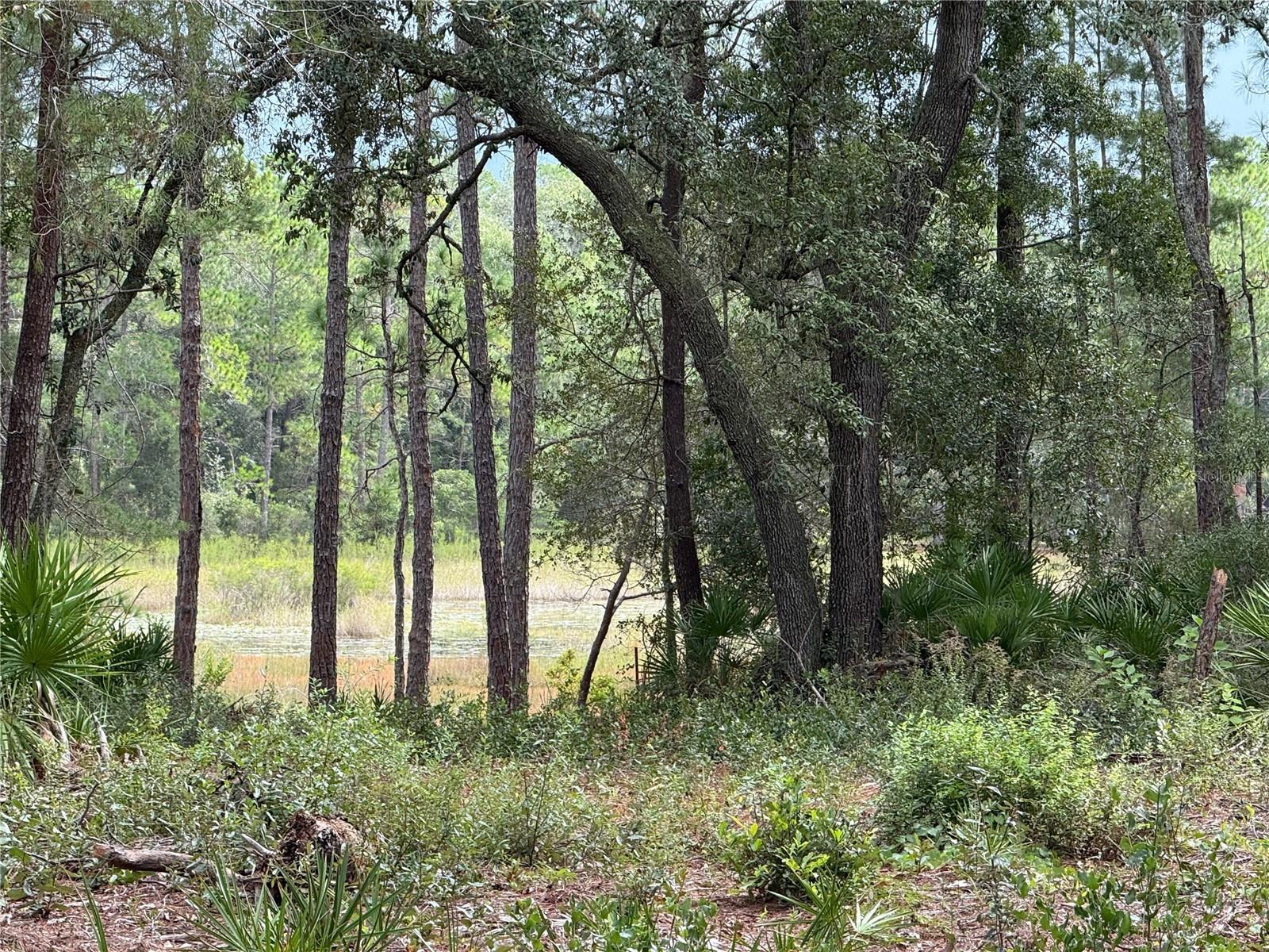 LAKE VIEW MANOR - Land