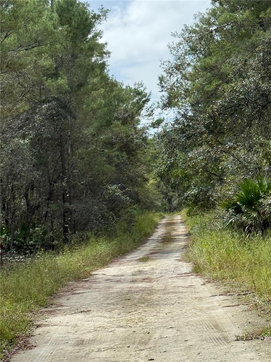 LAKE VIEW MANOR - Land