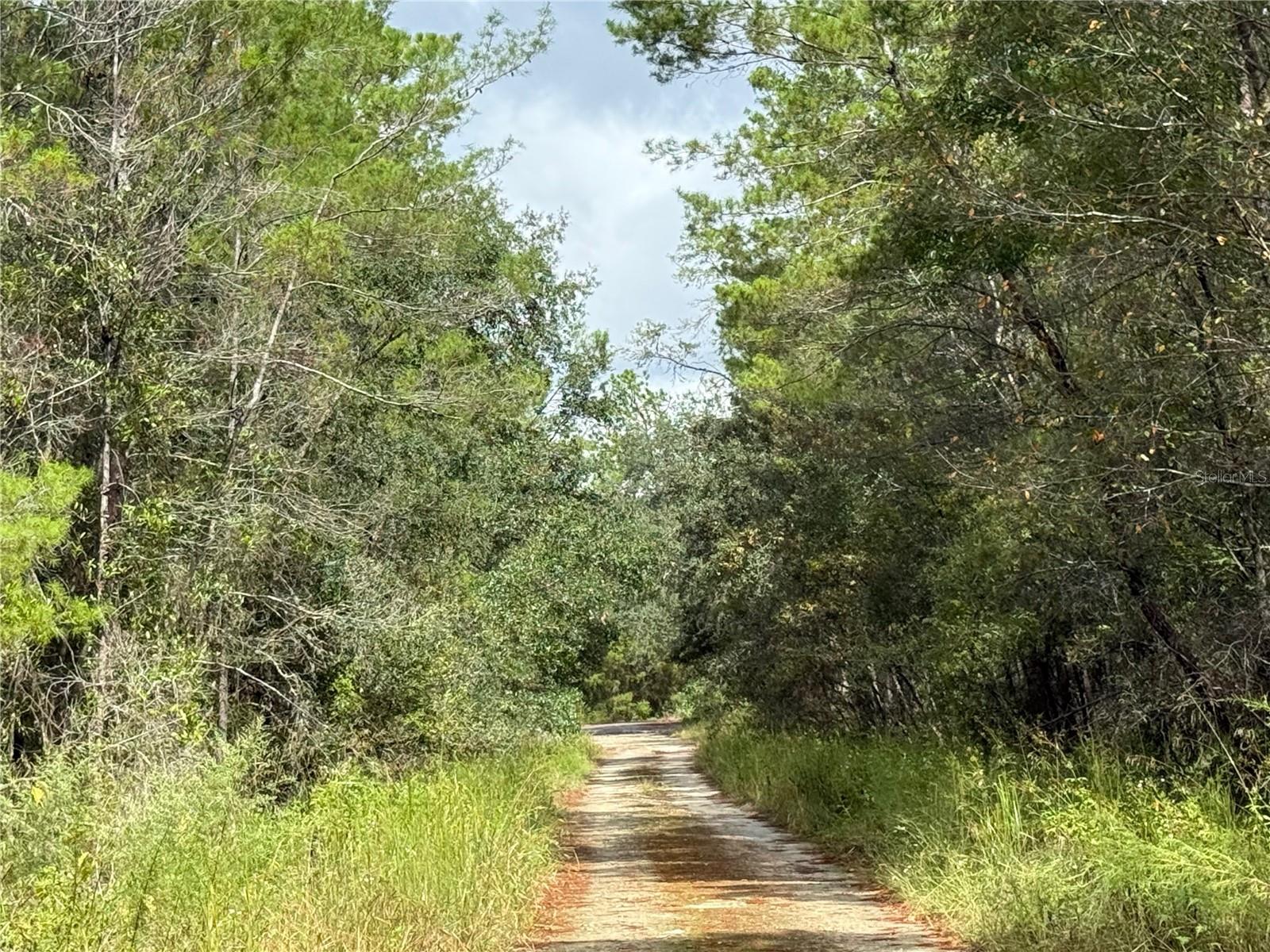 LAKE VIEW MANOR - Land