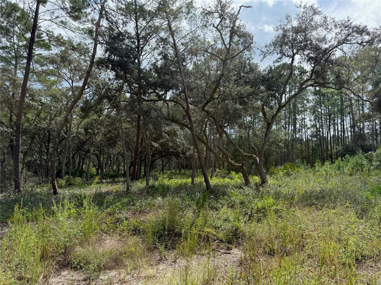 LAKE VIEW MANOR - Land